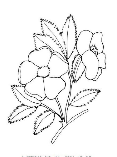 Malvorlagen blumen 6 - ",